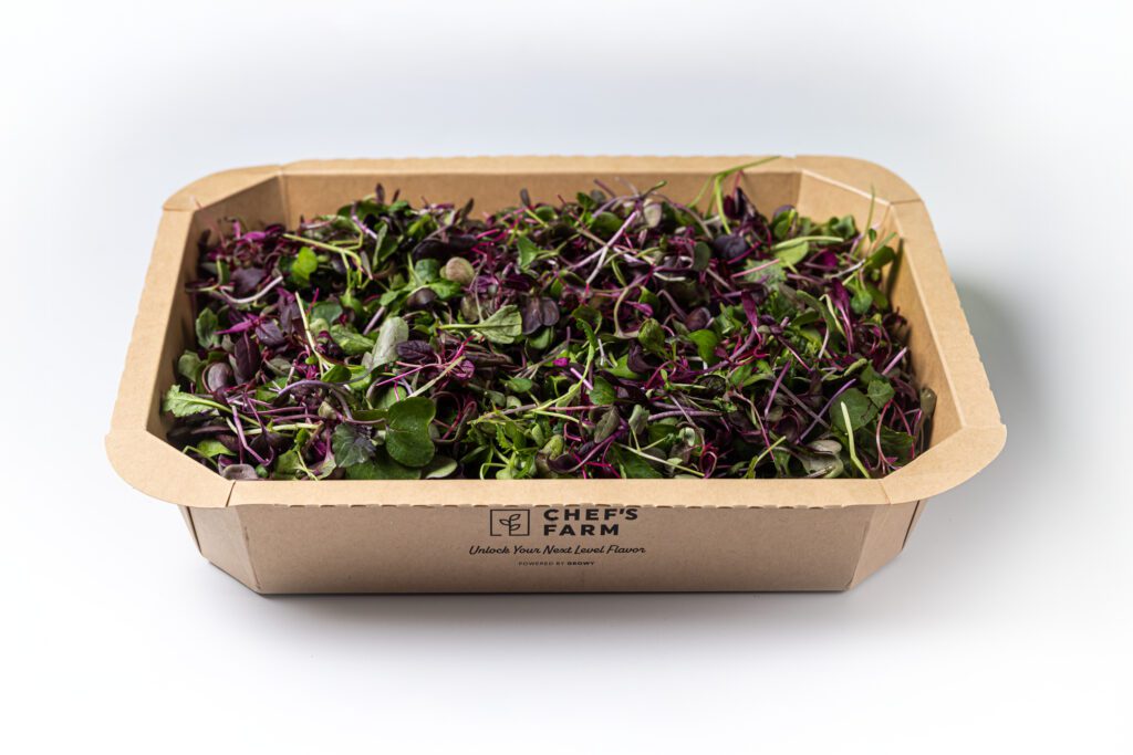 Colourful mix medium - 2 side view