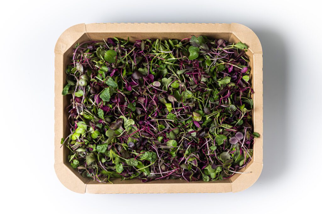 Colourful mix medium - 3 Top view