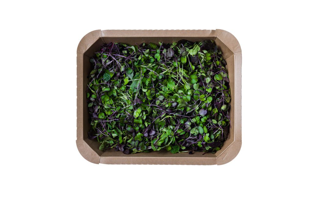 Herbal Salad Medium-3