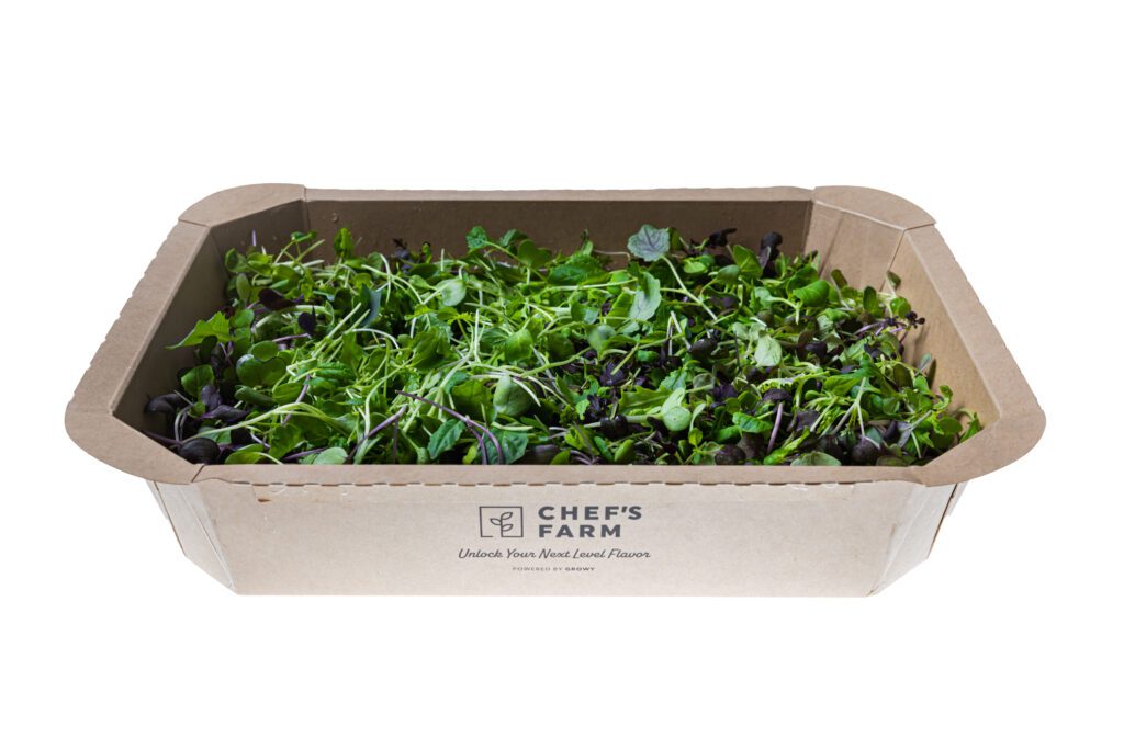 Herbal Salad Medium - 3