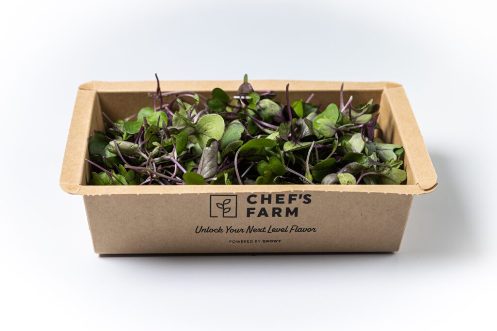 Kohlrabi - 2 side view