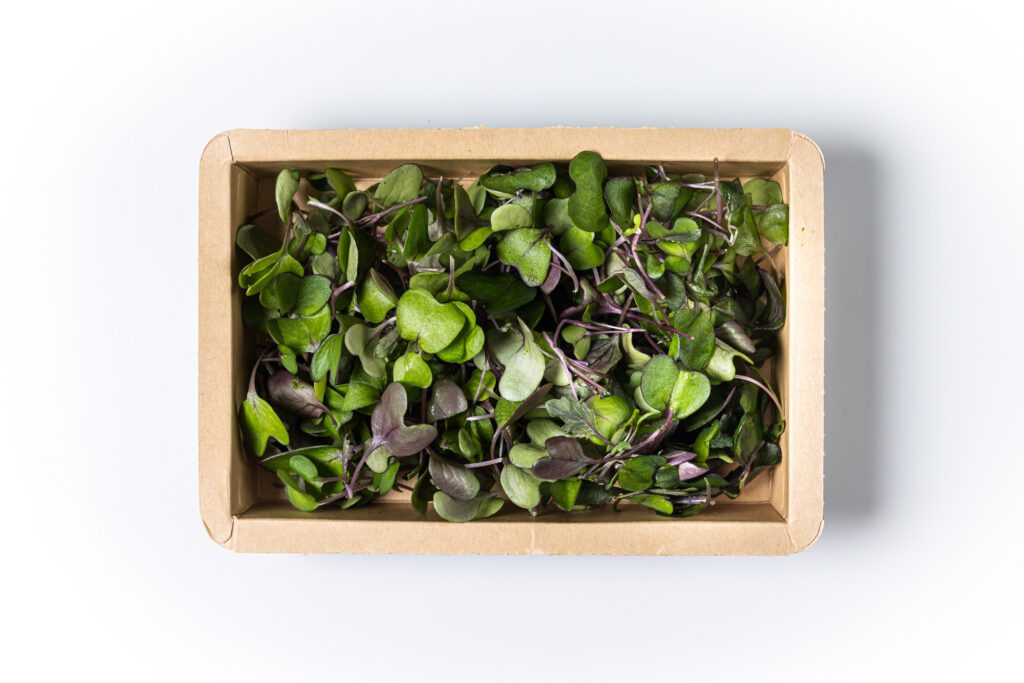 Kohlrabi - 3 top view