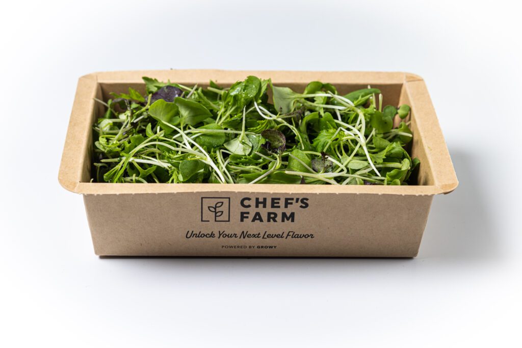 Mizuna - 2 side view