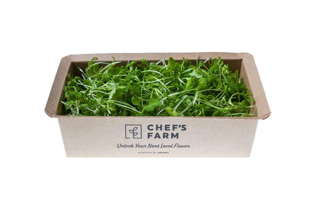 Mustard Frills Green-2