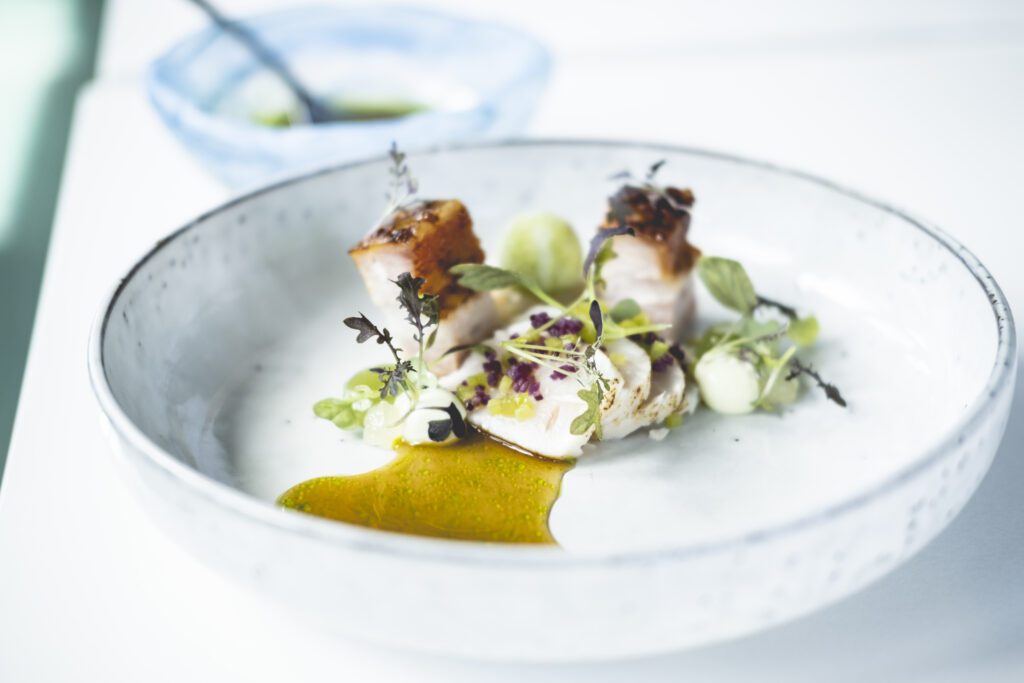 MustardFrillsPurple-4