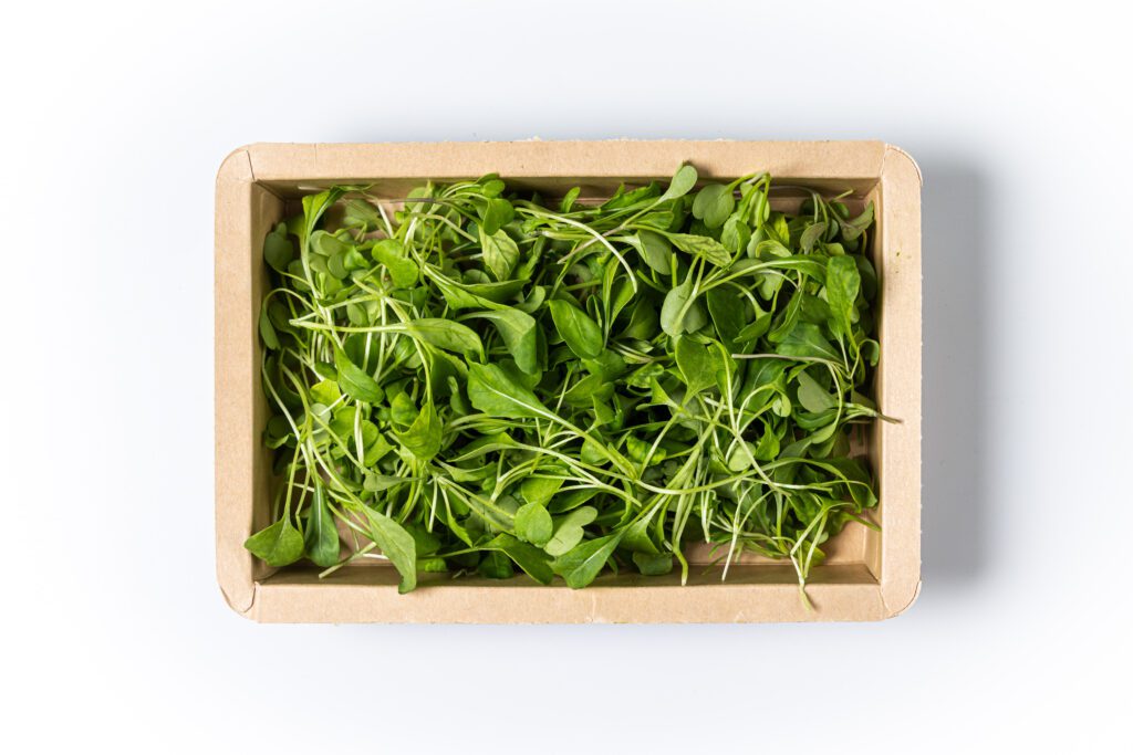 Salad Rocket - 3 top view