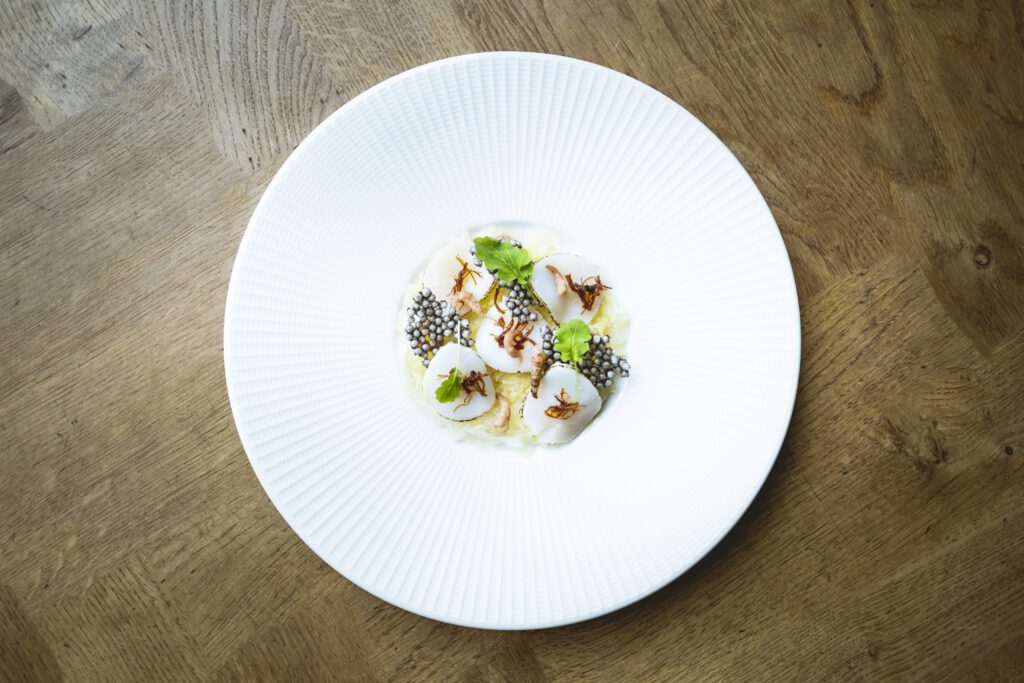 Wasabi Mustard Bergpaviljoen