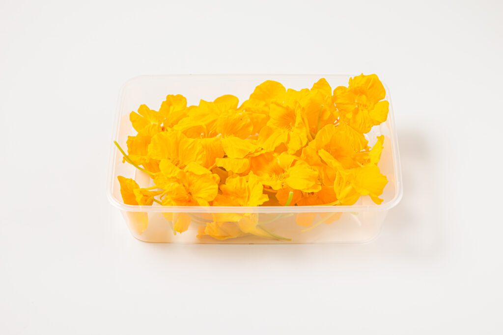 Capucine Blossom - Side View