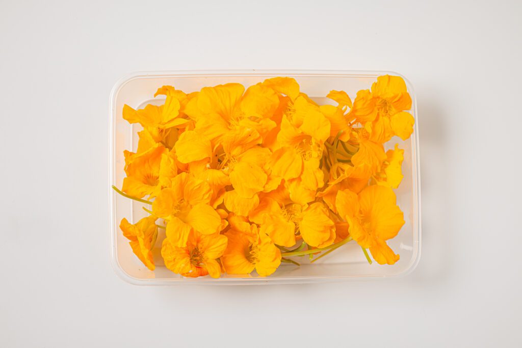 Capucine Blossom - Top View