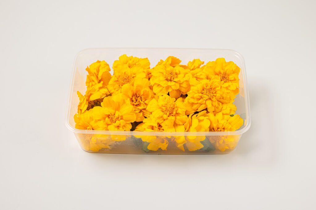 Tagetes Medium Yellow - Side View