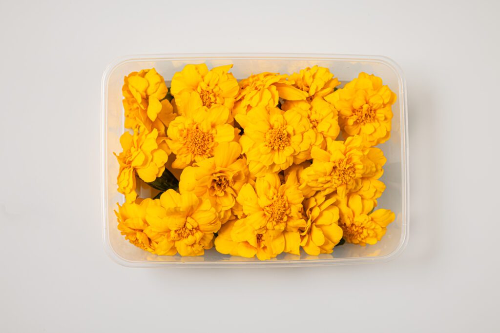 Tagetes Medium Yellow - Top View